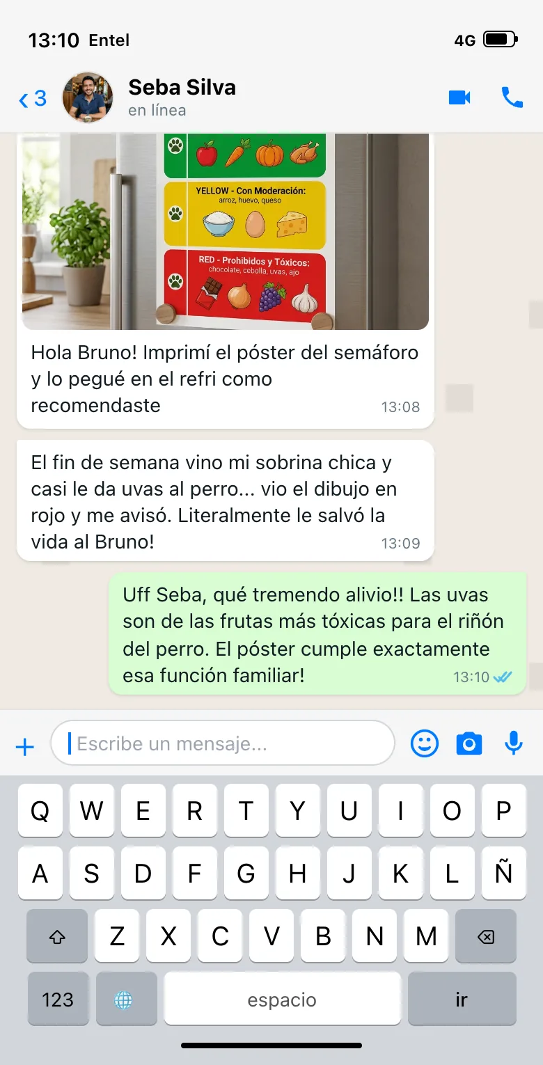 Conversa WhatsApp Seba & Bruno